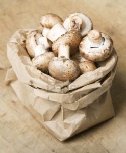 Mushroom bags