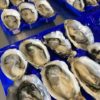 Oyster trays blue